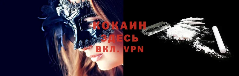 COCAIN VHQ  Буйнакск 