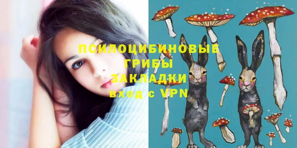соль ск Бородино