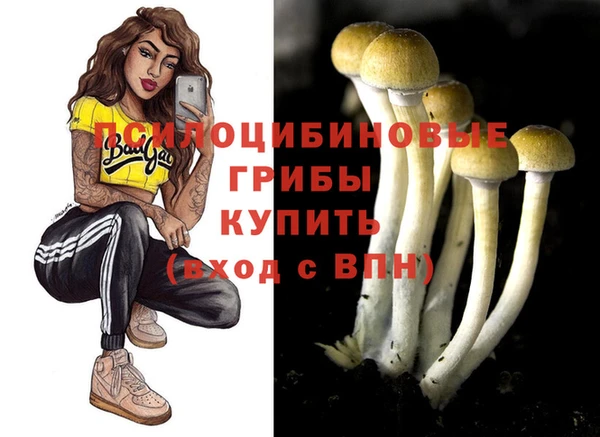 ALPHA-PVP Верея