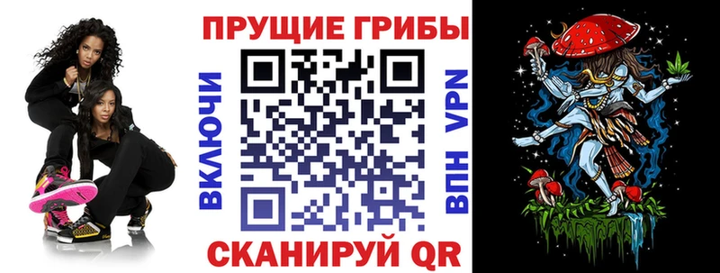 Псилоцибиновые грибы Psilocybine cubensis  KRAKEN ТОР  Буйнакск  где найти наркотики 